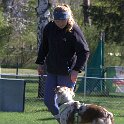 IMG 0519