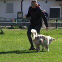 IMG 0523