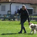 IMG 0524