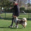 IMG 0528