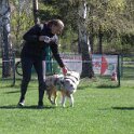 IMG 0530