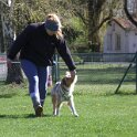 IMG 0539