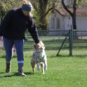 IMG 0540