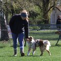 IMG 0546