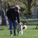 IMG 0547