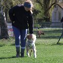 IMG 0548