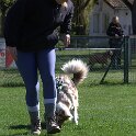 IMG 0550