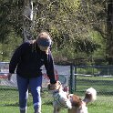 IMG 0552