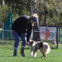 IMG 0555