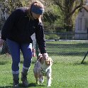 IMG 0557