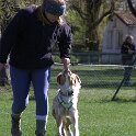 IMG 0558
