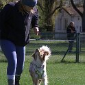 IMG 0559