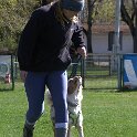 IMG 0561