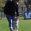 IMG 0562
