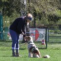 IMG 0564