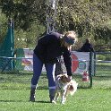 IMG 0565