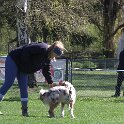 IMG 0566
