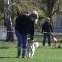 IMG 0568