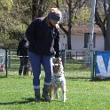 IMG 0570