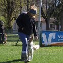 IMG 0571