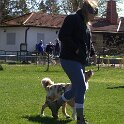 IMG 0574