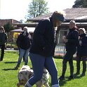 IMG 0576
