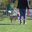 IMG 0579