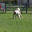 IMG 0580
