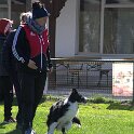 IMG 0585