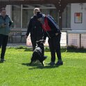 IMG 0591