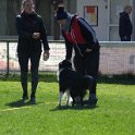 IMG 0593