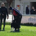 IMG 0594