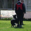 IMG 0598