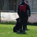 IMG 0599