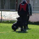 IMG 0600