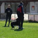 IMG 0606
