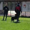 IMG 0609