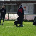 IMG 0611