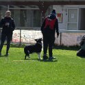 IMG 0612