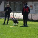 IMG 0613