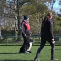 IMG 0615