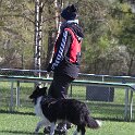 IMG 0630