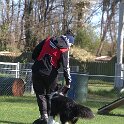 IMG 0633