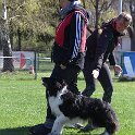 IMG 0655