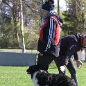 IMG 0657