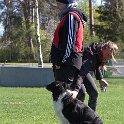 IMG 0658