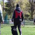 IMG 0660