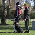 IMG 0663