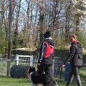 IMG 0667