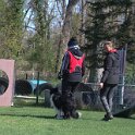 IMG 0668